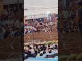 sunwara dangle # sunwara #dangle #viral #shorts #video