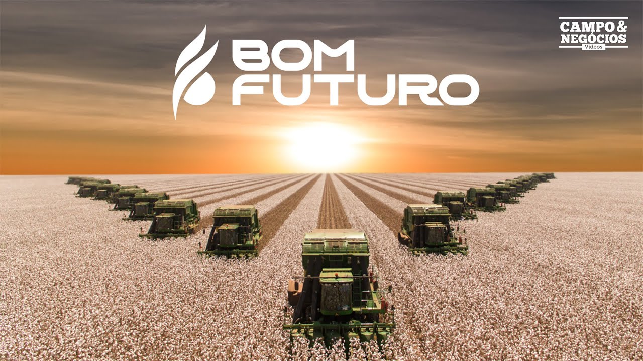 Maior produtor de algodão do mundo