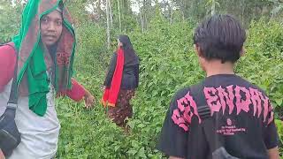 Download Lagu SUBBAHANALLAH JAKA BISA MENEMBUS ISTANA GHAIB DAN BERHASIL MENDAPATKAN MUSTIKA MERAH DELIMA. MP3