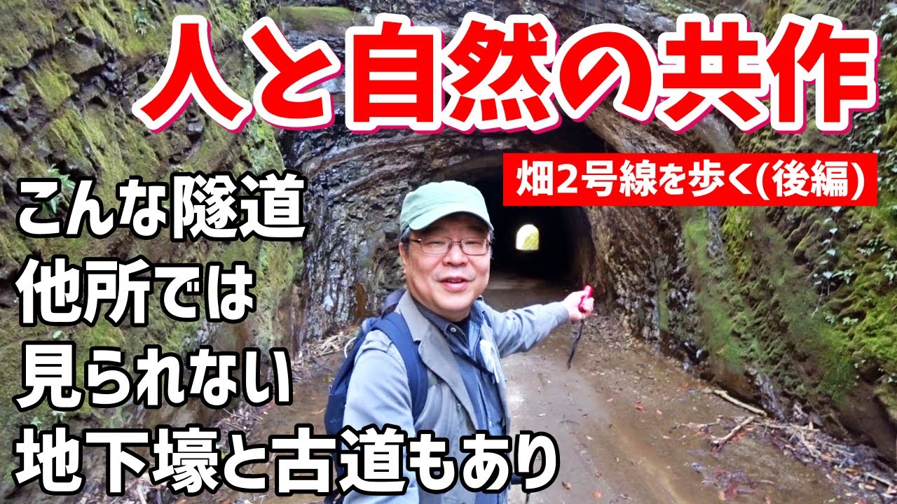 【素掘隧道】林道畑2号線を歩く(後編)～明治以前の古道、戦争遺跡(地下壕)も登場