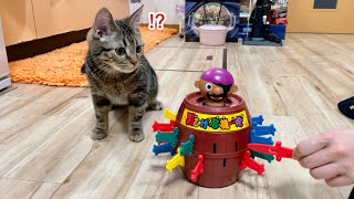 子猫の目の前で黒ひげ危機一発をプレイするとこうなりますw
