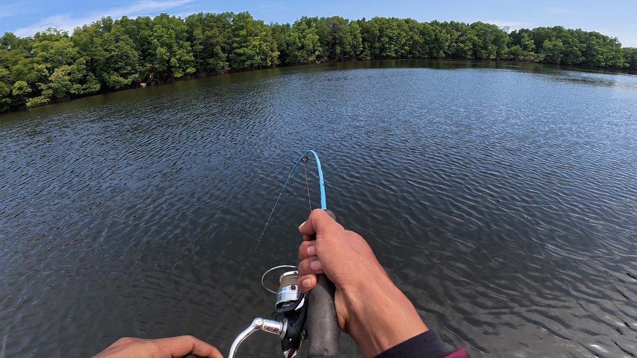 REJEKI !!! Kakap Besar Sudah Di Depan Mata