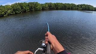 Download Lagu Umpan Super Jitu Untuk Mancing ikan kakap putih di sungai MP3