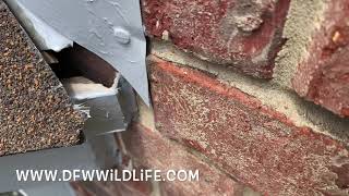 How to use Xcluder to close up gaps and cracks