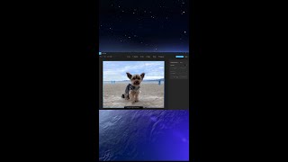 Microsoft Unveils AI-Powered Eraser for Windows Photos: Tech News Update screenshot 5