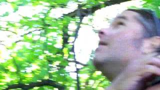 Baby squirrels  release