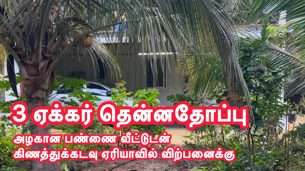 3 ஏக்கர் தென்னந்தோப்பு அழகான பண்ணை வீட்டுடன் கிணத்துக்கடவு ஏரியாவில் விற்பனைக்கு 