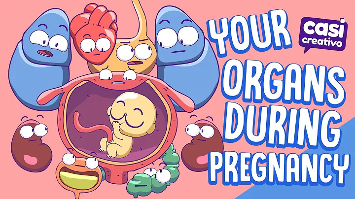 Your Organs During Pregnancy - DayDayNews