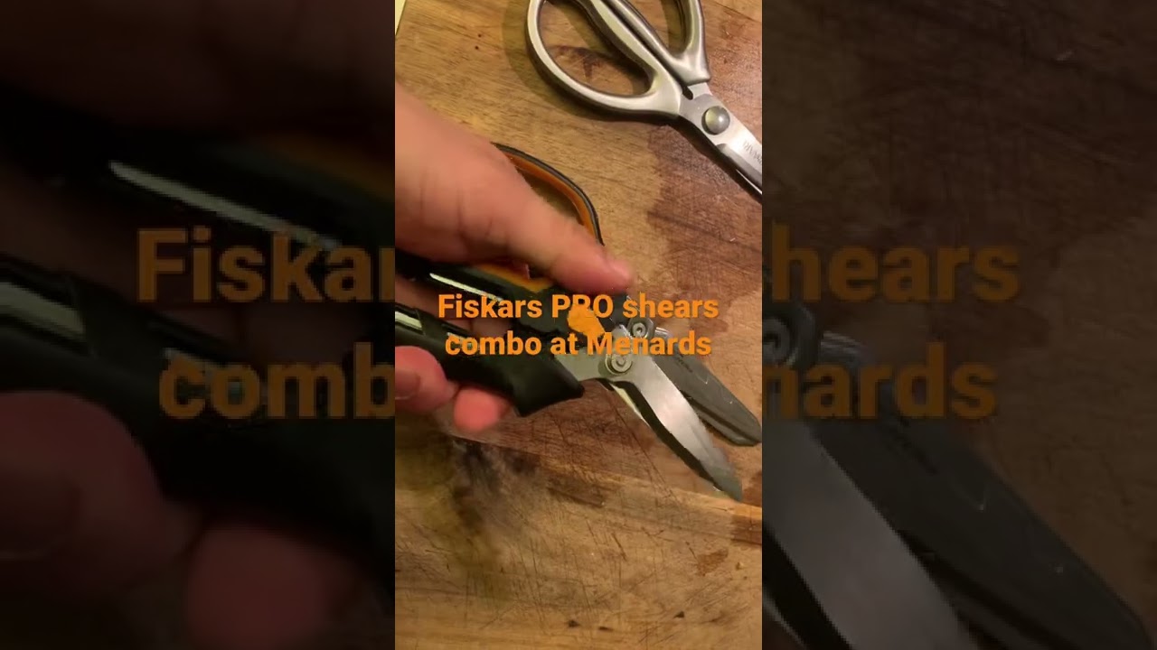 Best Kitchen shears