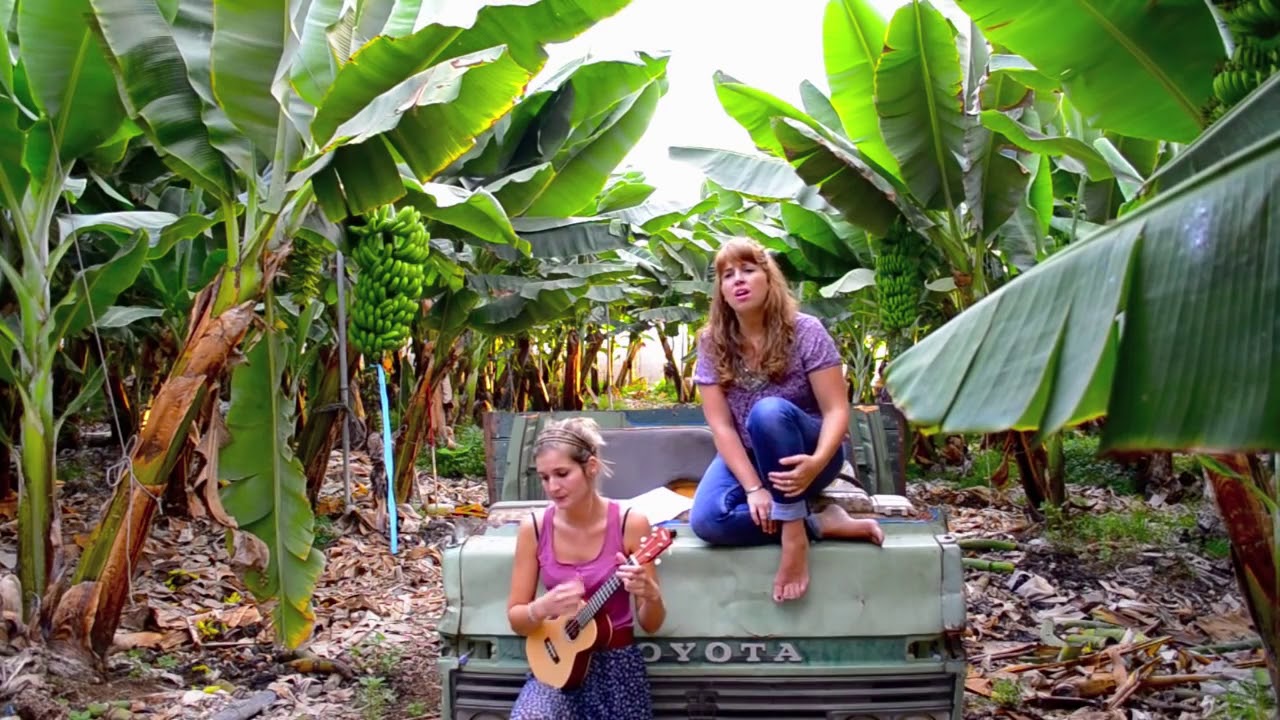 "Je veux" Zaz Version au Ukulélé feat Anne Flor YouTube