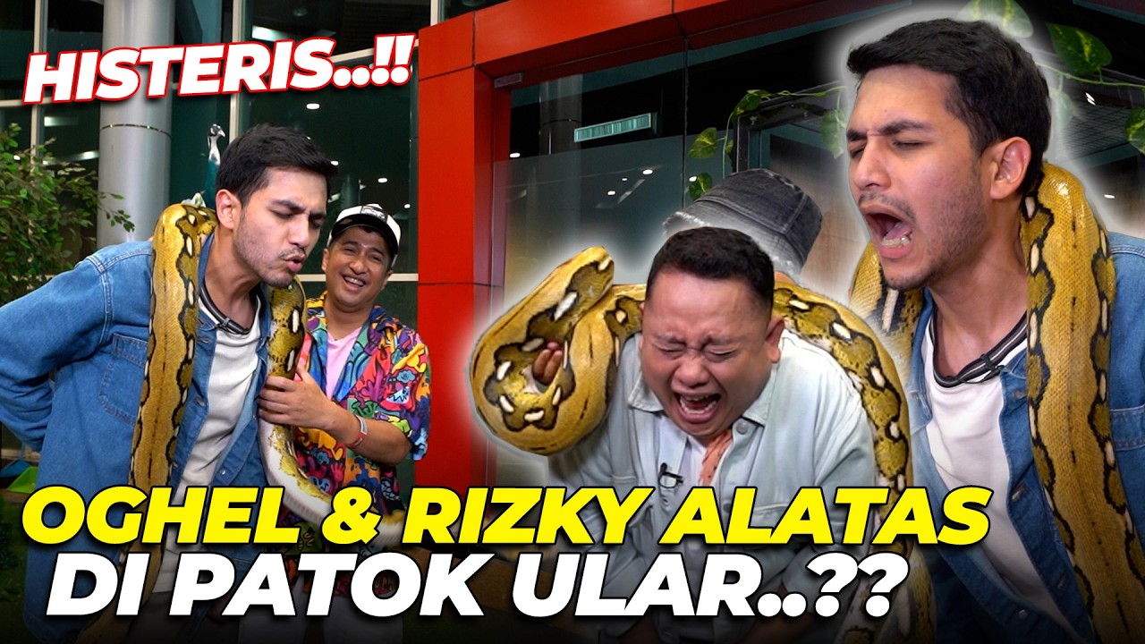 HISTERIS..!! RIZKY ALATAS LIBURAN KE SAFARI DEHAKIMS MALAH DI LILIT ULAR..??