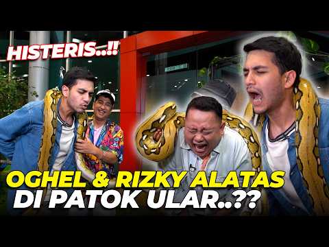 HISTERIS..!! RIZKY ALATAS LIBURAN KE SAFARI DEHAKIMS MALAH DI LILIT ULAR..??