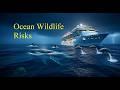 The Hidden Wildlife Risks Behind Luxury Cruises | The Truth About Whales, Sharks &amp; Ship Strikes