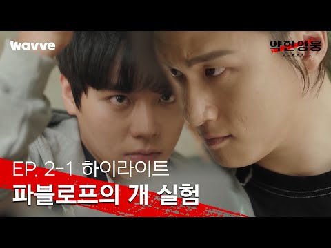 [Weak Hero Class 1] Yeon Si-eun's New Fighting Style, "Pavlov's Dog Experiment" | Episode 2 Highl...