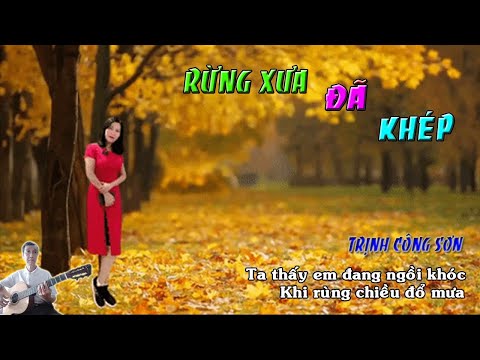 Video Rừng Xưa Đã Khép -Ta thấy em trong tiền kiếp với mặt... - youtube