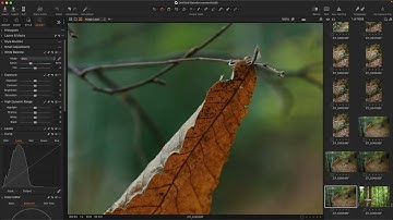 Best Value 50mm Lens? Nikon vs TTArtisan