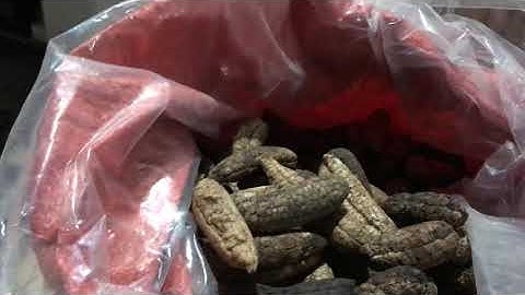 3/10. NGÂM CHUỐI HỘT RỪNG NGÂM RƯỢU TẾT. GIÁ 60k 1kg. LH 0981515269 vs 0345137096