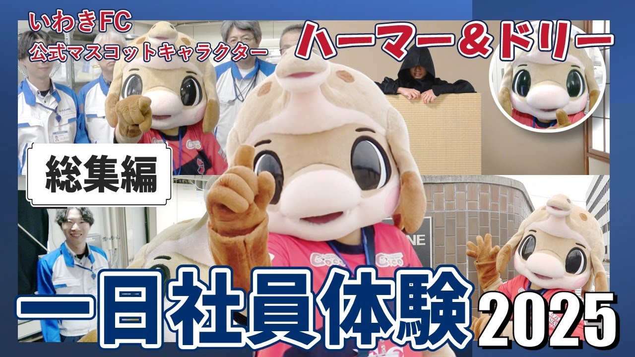 ハーマー & ドリー ハーマー ドリーぬいぐるみLL