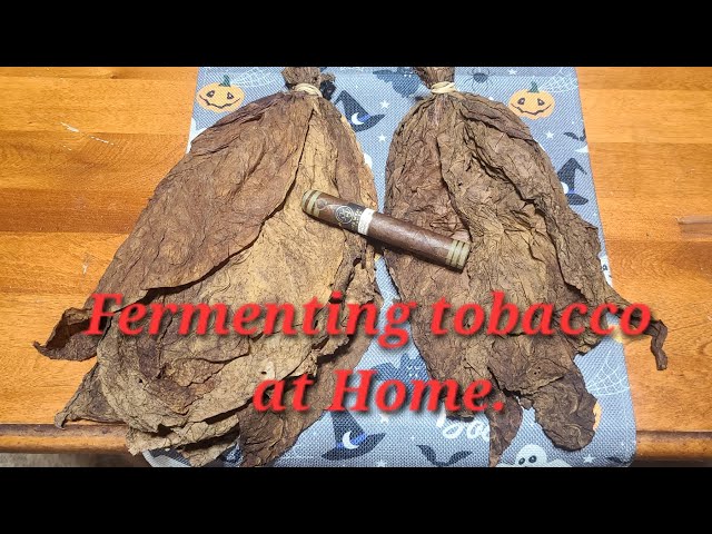 fermenting tobacco at home YouTube