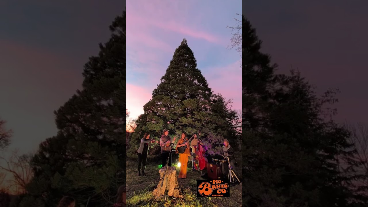 Pixie & the Partygrass Boys — Full session