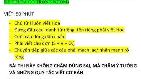 Bài tập helping verbs can may might have to must