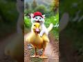 The Brave Cat and the Little Duck 🐥💔 | Heart Touching Animal Story #AnimalLove#DuckAndCat