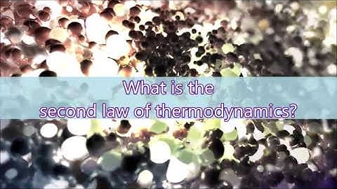 CC Cycle 2 Week 20 Science