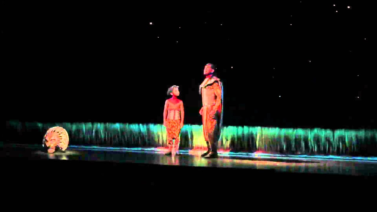 O Rei Leão O Musical YouTube