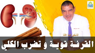 القرفة قوية و تضرب الكلي | الدكتور الفايد