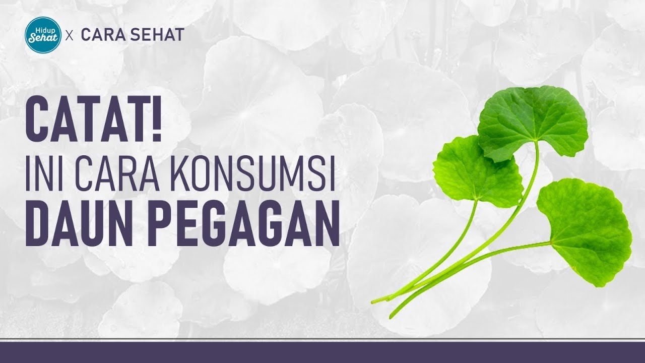Daun Pegagan, Tanaman Liar Kaya Manfaat! Ini Cara Konsumsinya | Hidup Sehat tvOne