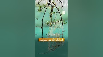 تلاوة مباركة لما تيسّر من سورة التوبة بصوت الشيخ د. أحمد عيسى المعصراوي  #قاف_التفاعلية