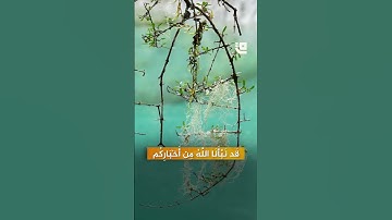 تلاوة مباركة لما تيسّر من سورة التوبة بصوت الشيخ د. أحمد عيسى المعصراوي  #قاف_التفاعلية
