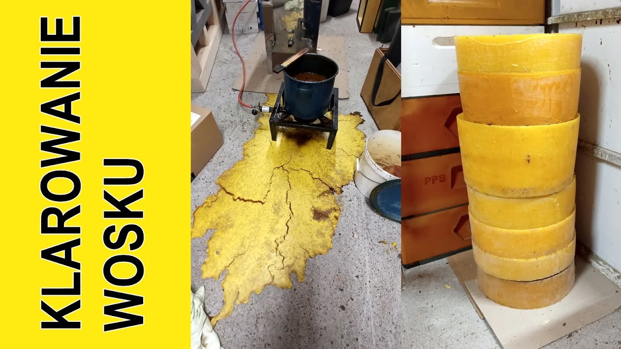 #86 Klarowanie wosku i znowu lis...