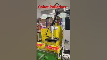 Cobot Palletiser Easy to Operate Up to 12PPM Max Payload 30KG