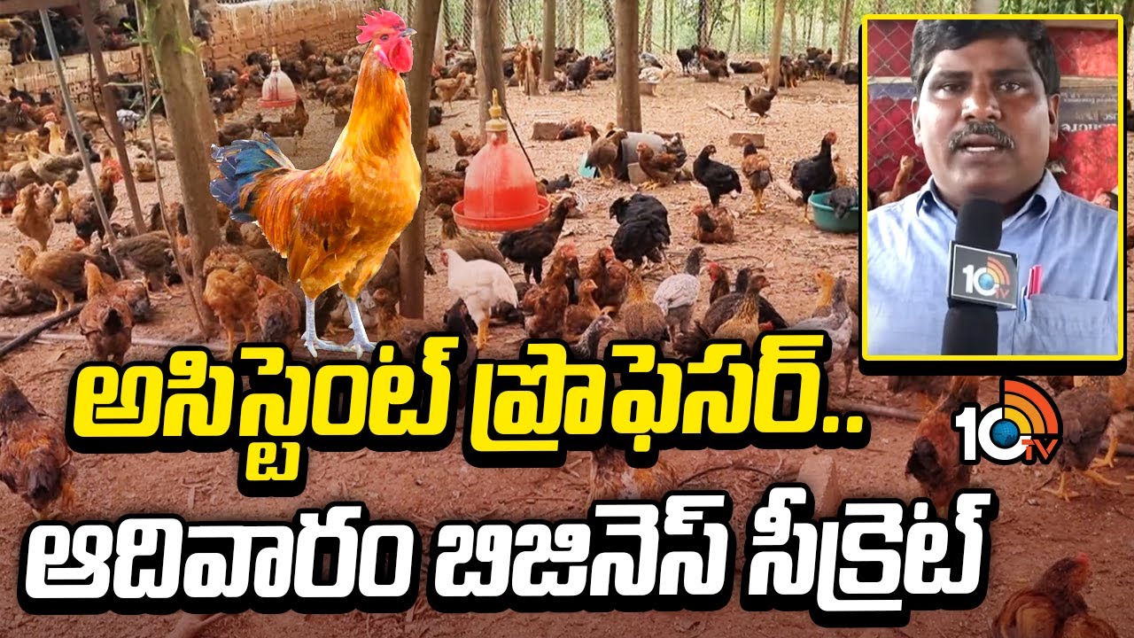 అసిస్టెంట్ ప్రొఫెసర్.. ఆదివారం బిజినెస్ సీక్రెట్ | Country Chicken Farming | non Veg Pickles | 10TV