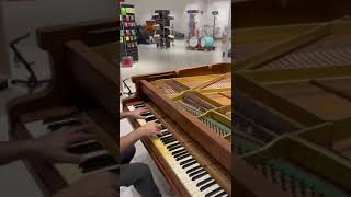 Piano De Cauda Roslerpetrof A Venda Tel 31 991122101
