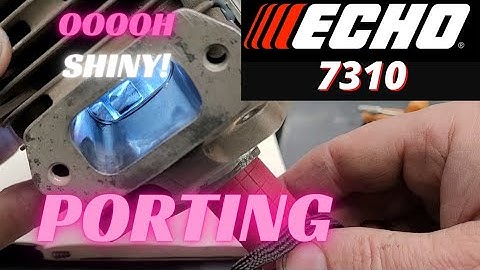 ECHO 7310 Port work