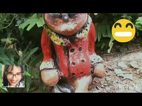 Reciclagem de plástico e isopor.Pombo correio.