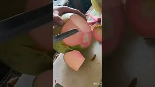 buah kelapa hijau cengkir manis #shorts #buah #kelapa