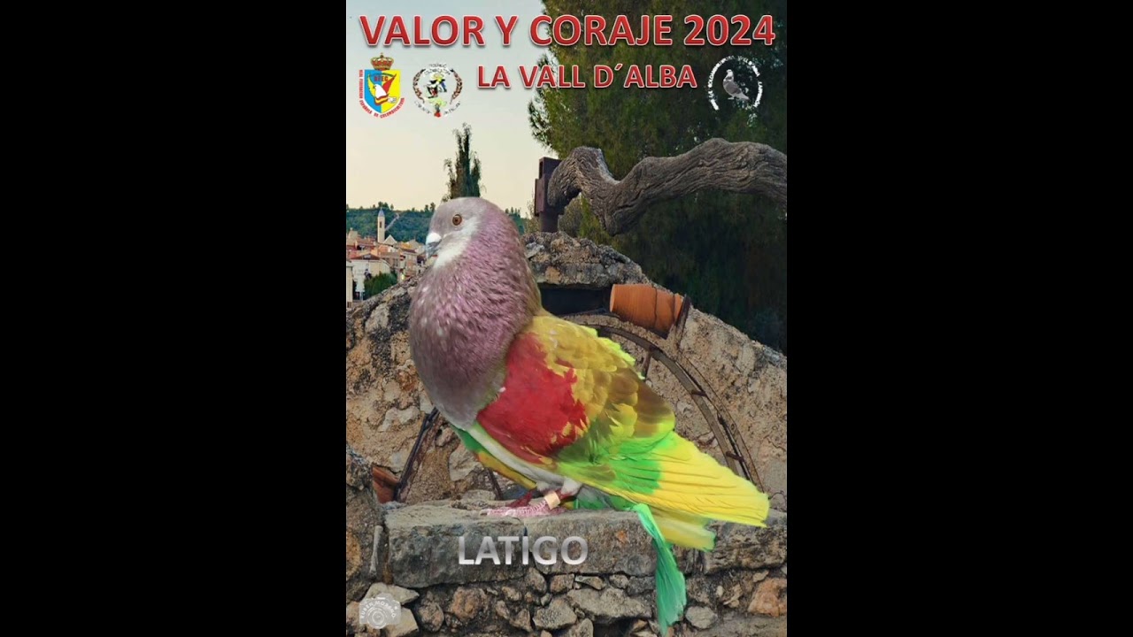 PALOMOS PARTICIPANTES VALOR Y CORAJE 2024