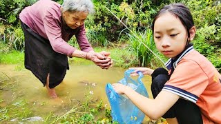 The poor girl and her grandmother picked up snails to sell at the market Make a living every day