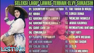 Elvi Sukaesih _ Seleksi Lagu Lawas