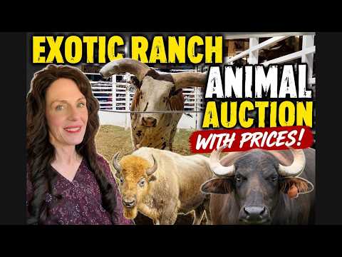 Exotic Animal Auctions Near Me 05