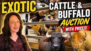 This White Buffalo Sold for HOW MUCH? | Exotic Animal Auction Revealed