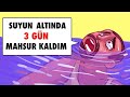 3 Gün Su Altında Hayatta Kaldım – Nasıl Olduğunu İnanamayacaksınız