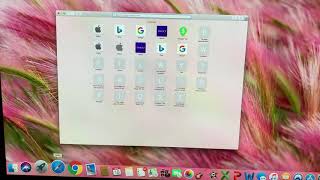 Need help please! Safari on Mac keeps crashing .