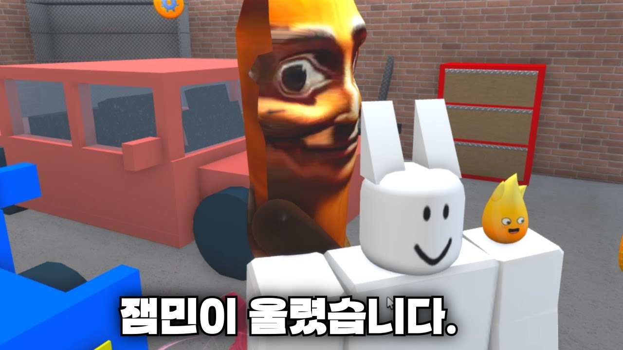 한국머더에서 잼민이 울렸습니다