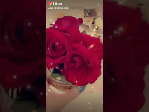 اغنيه شهديلك اني حرت روعهههههه 