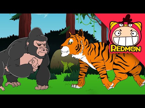 🐯 Gorilla vs. Tiger! Who is Stronger? 🦍 | Animal Battle | 4K cartoon | REDMON