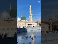 shom kar kahky Madina❣️❣️#naat#triding#naatstatus#naat
